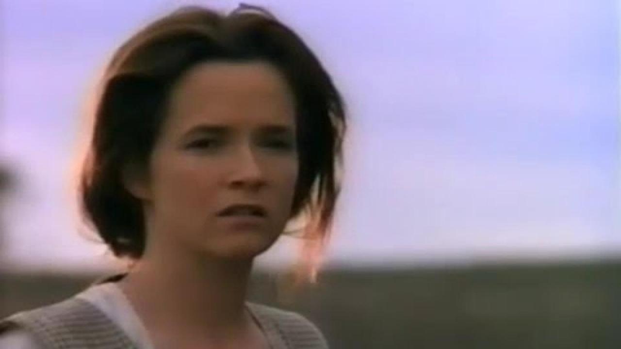 The Substitute Wife 1994 FilmFed