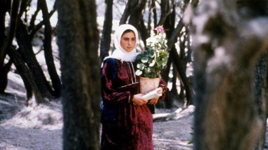 Through the Olive Trees (1994) Image