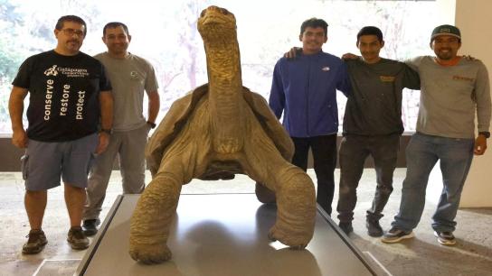 Lonesome George and the Battle for Galapagos (2006) Image