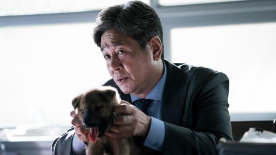 The Mayor (2017) Image