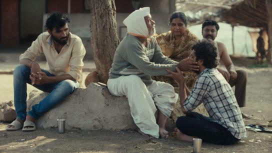 Cactus Pears (2025) Image