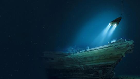 Endurance (2024) Image