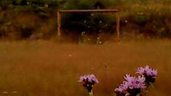 Dry Leaf (2026) Image