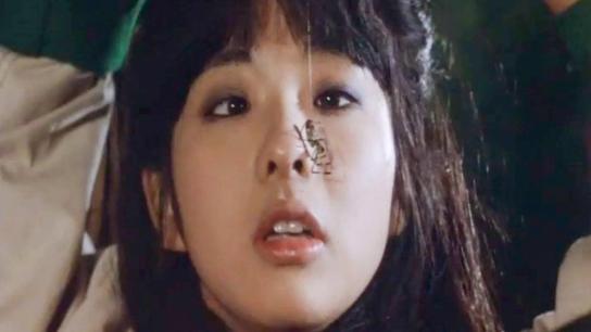 Nurse Diary: Beast Afternoon (1982) Image