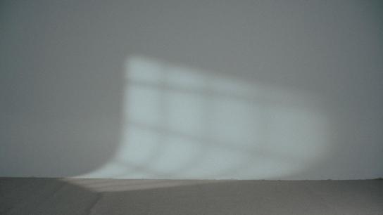 The Catcher (2026) Image