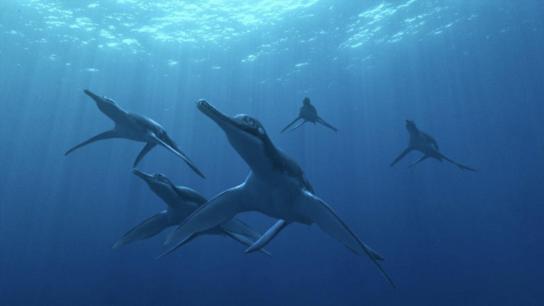 Sea Monsters: A Prehistoric Adventure (2007) Image