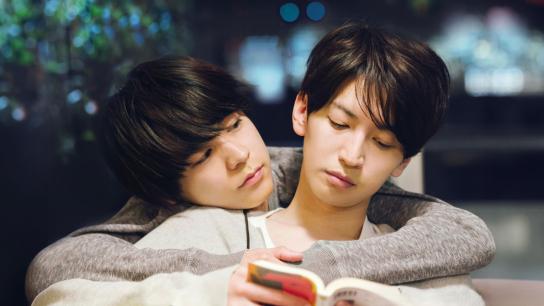 The Cornered Mouse Dreams of Cheese (2020) Image