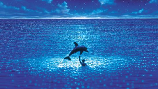 The Big Blue (1988) Image