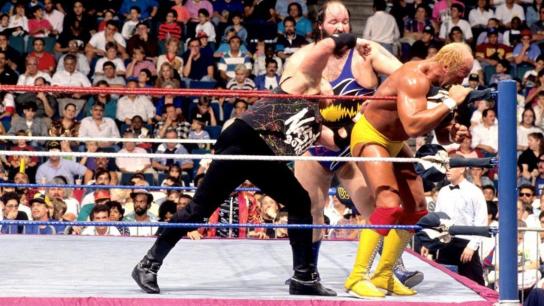 WWE Royal Rumble 1991 (1991) Image