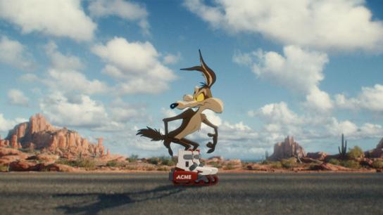 Coyote vs. Acme (2026) Image