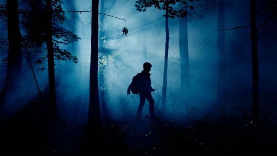 The Wildman of Shaggy Creek (2025) Image