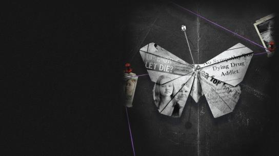 Wild Butterfly (2020) Image