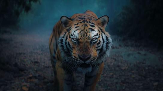 Kantara: Chapter 1 (2025) Image