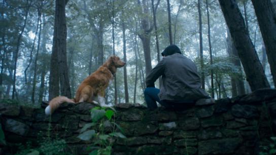 Good Boy (2025) Image