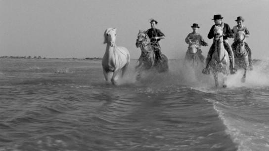 White Mane (1953) Image