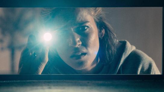 Crawlers (2026) Image