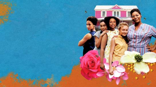 The Secret Life of Bees (2008) Image