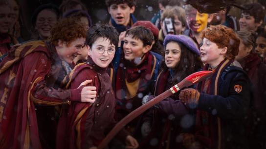 Finding Harry: The Craft Behind the Magic (2026) Image