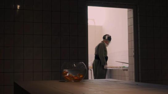 Laboratory No.2 (2021) Image