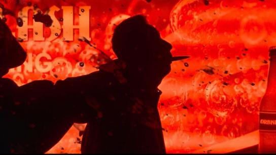 The Fire Raven (2025) Image