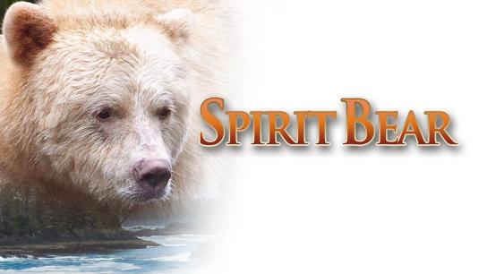 Spirit Bear: The Simon Jackson Story (2005) Image