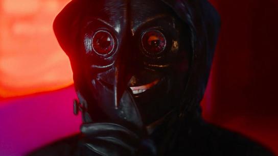 The Fire Raven (2025) Image