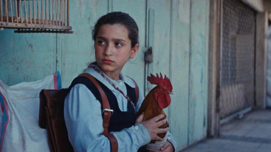 The President's Cake (2025) Image