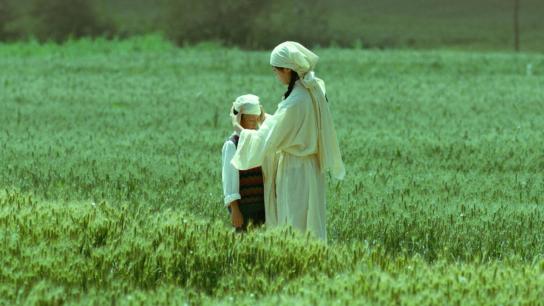 Living the Land (2025) Image