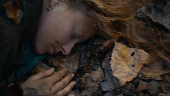 Trifole (2024) Image