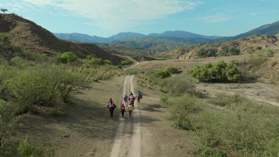 Our Land (2026) Image