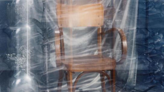 By Design (2026) Image