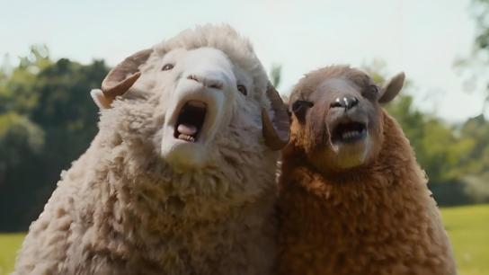 The Sheep Detectives (2026) Image