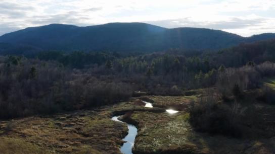 The King and Beers - A Gravel Epic in Vermont (2021) Image