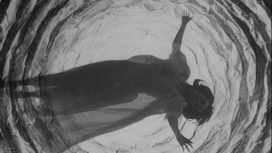 The Night Walker (1964) Image