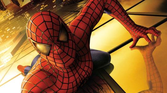 Spider-Man (2002) Image