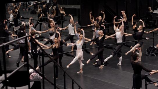Black Swan (2010) Image