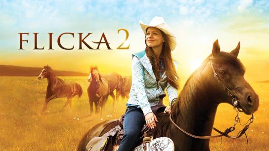Flicka 2 (2010) Image