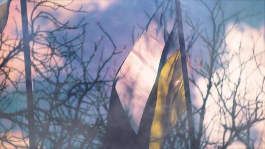 Despair and Defiance: The Battle for Ukraine (2022) Image