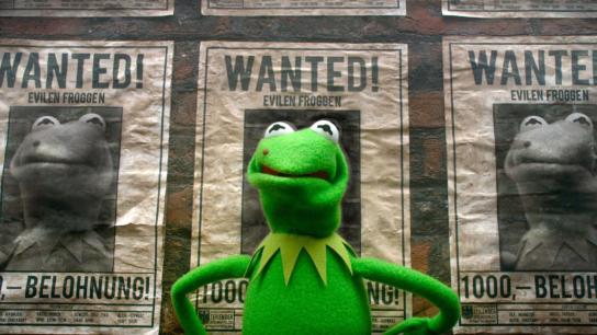 Muppets Most Wanted (2014) Image