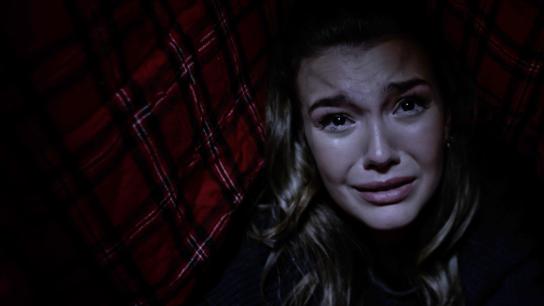 Grizzly Night (2026) Image