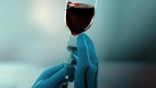 A Nurse to Die For (2023) Image