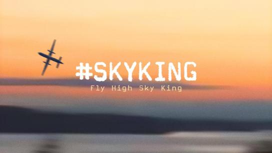 #SKYKING (2026) Image