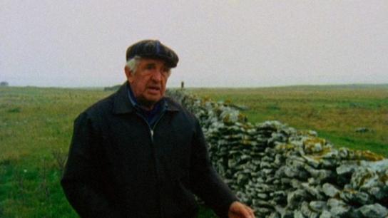 Fårö Document 1979 (1979) Image