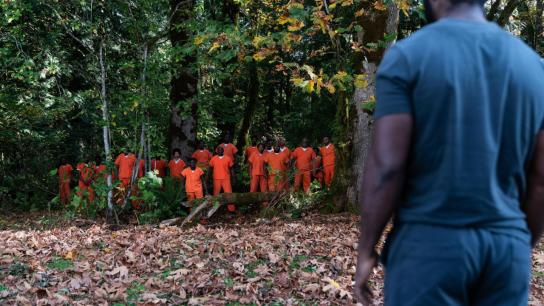 Newborn (2026) Image