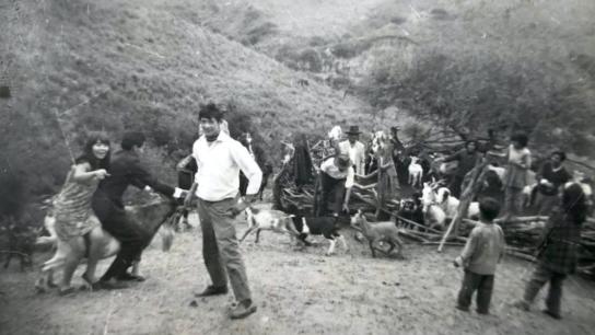 Our Land (2026) Image