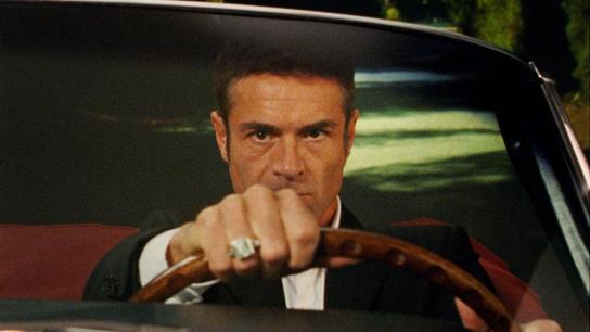 Reflection in a Dead Diamond (2025) Image