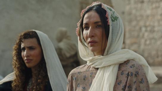 Palestine 36 (2025) Image