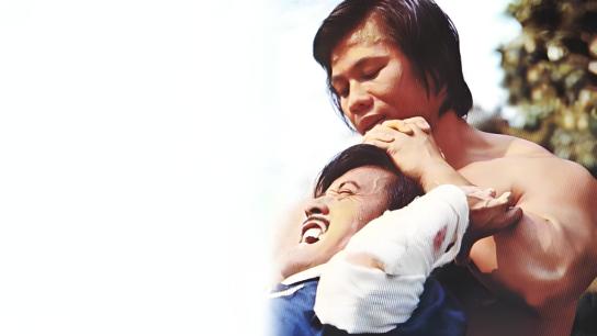 Freedom Strikes a Blow (1973) Image