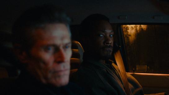 The Man in My Basement (2025) Image