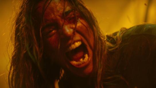 Evil Dead Burn (2026) Image